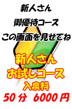 ��V�уK�C�h�n�Ɓw���x�̎���!!�X�����W��