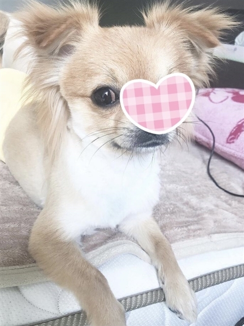 七瀬 美友
