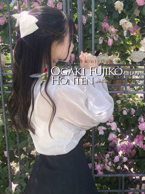 チワワ  (現役女子大生)