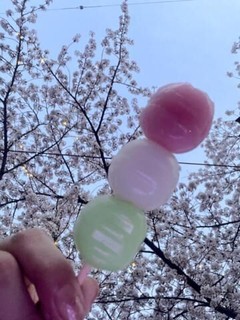 桜&#9825;