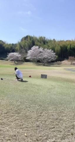 桜ゴルフ
