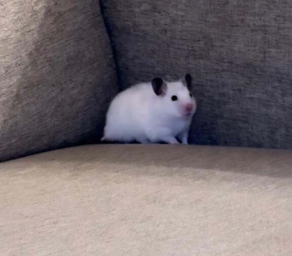 しつもんこーなー