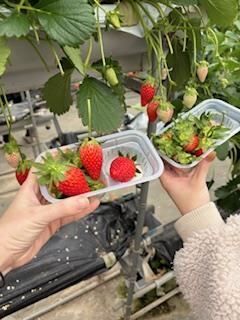 たっっぷーりとろーり