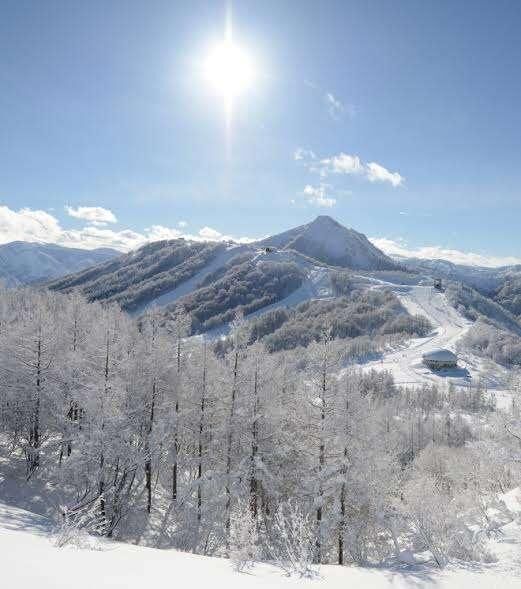 寒さで