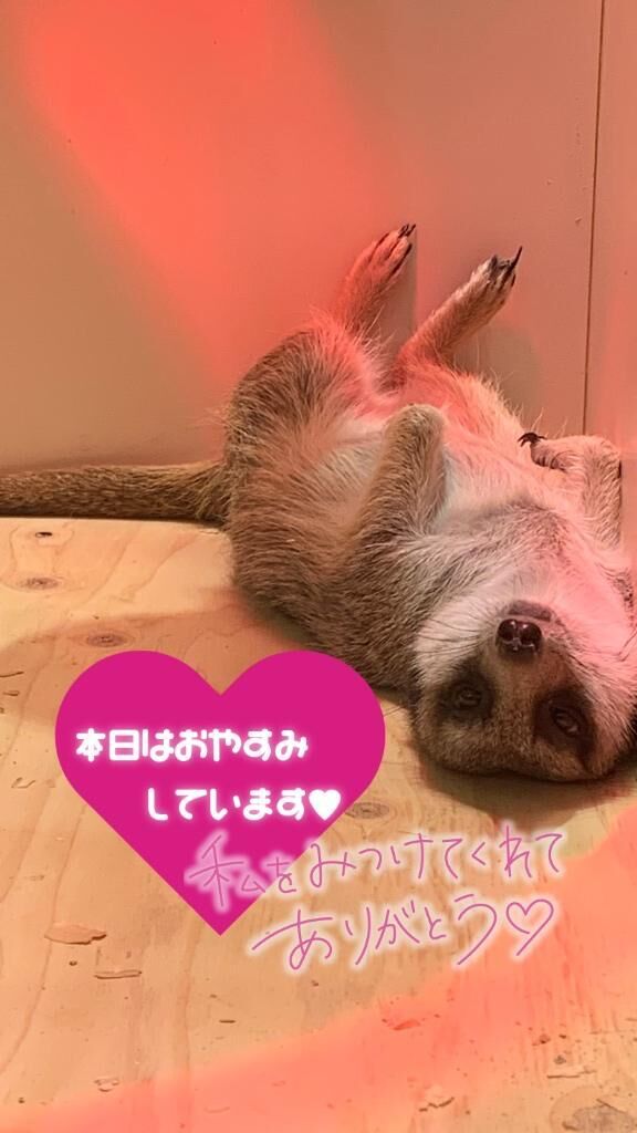 明日は出勤&#9825;