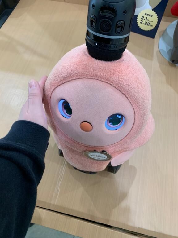 &#9825;ゆずはしばらくお休みだよ&#x301C;&#9825;