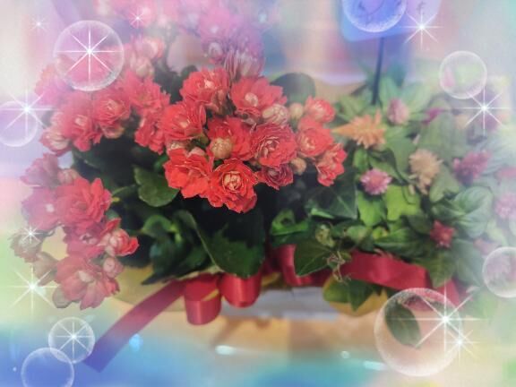 ありがとう&#9825;