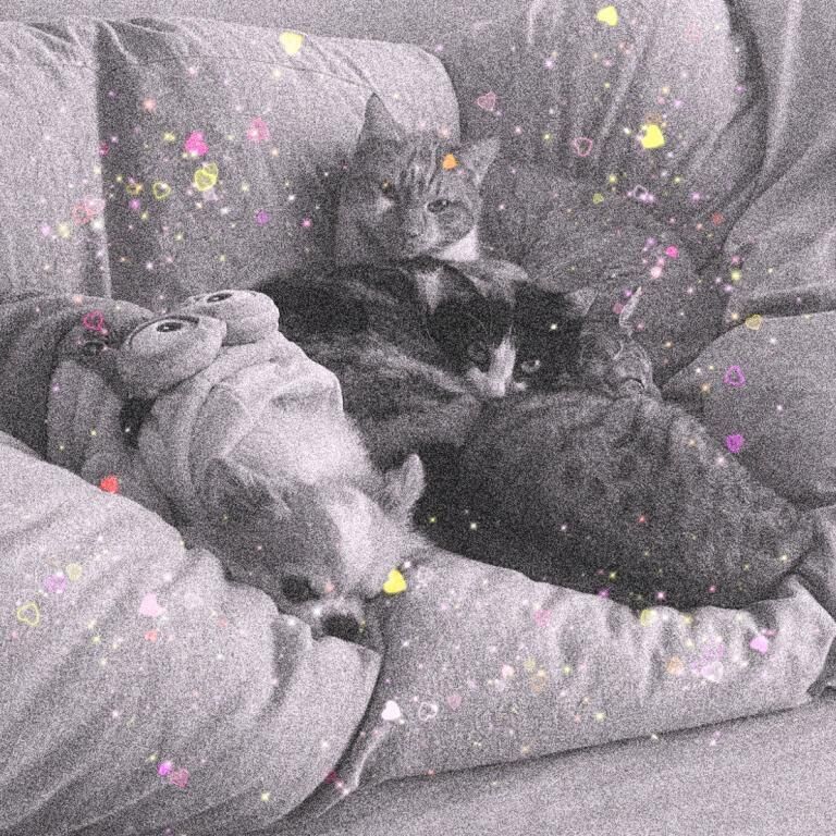 おはようございます(^^)