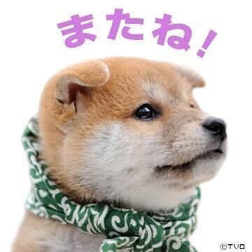 テスト