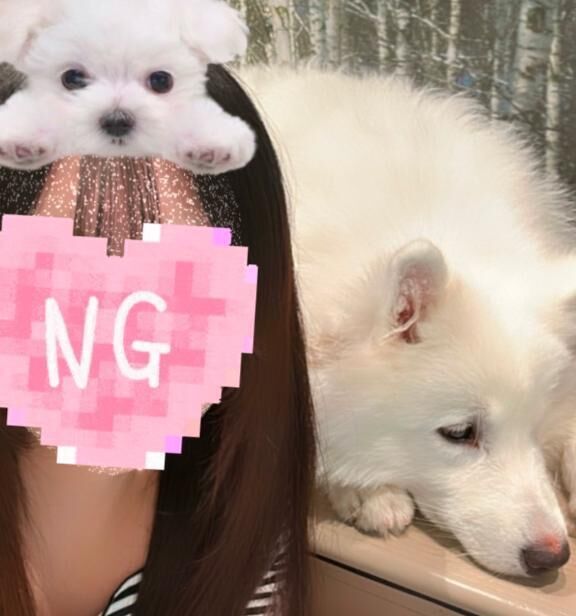 しゅ(&circ;&#9591; &#811;&#9591;&circ;)&#128149;