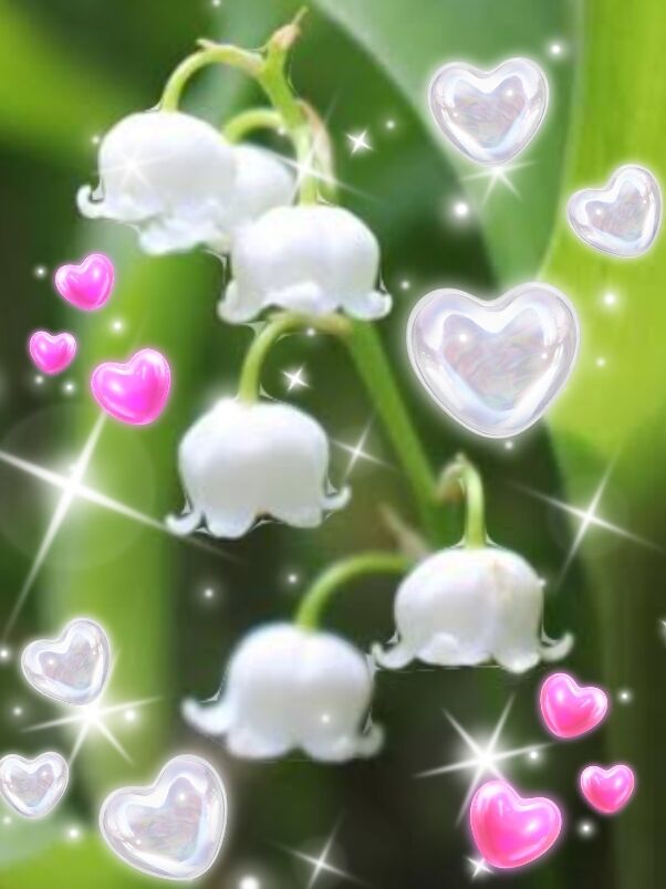 おはよう御座います&#128139;