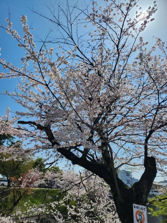 到着