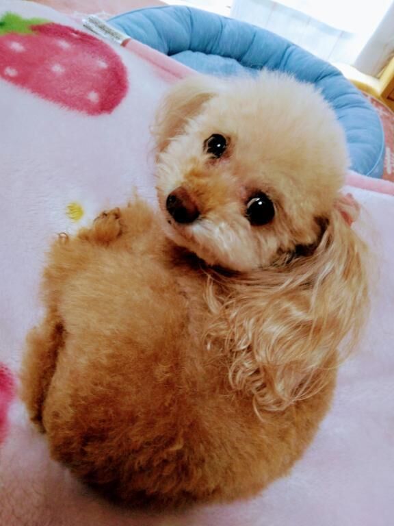 こんにちは