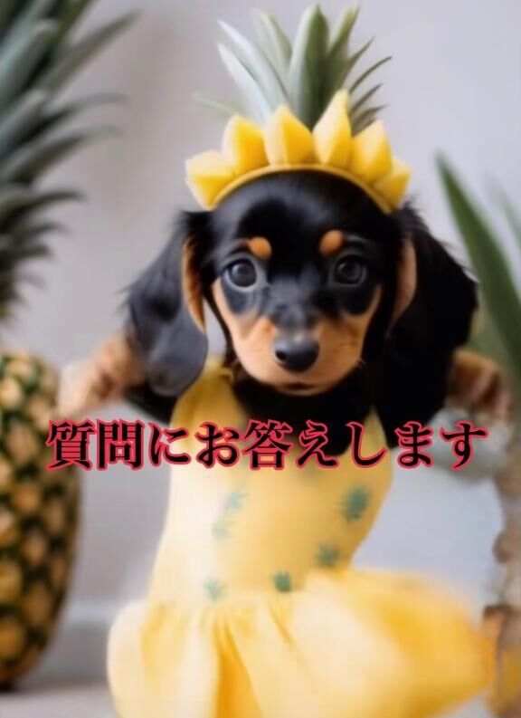 [お題]from:むしろ金髪？さん