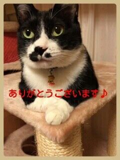 ★コーヒータイム♪