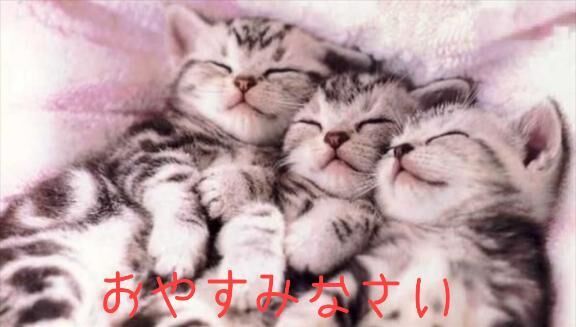 &#11088;&#65039;おやすみなさい&#11088;&#65039;