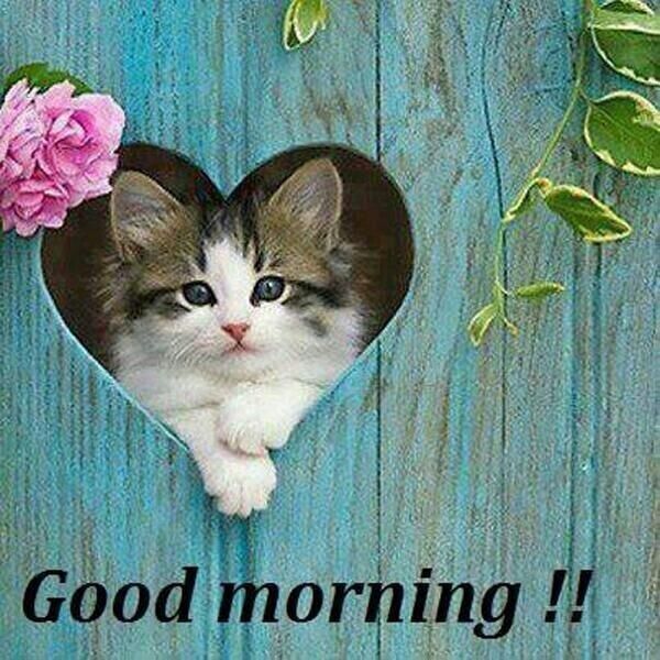 Good Morning♡