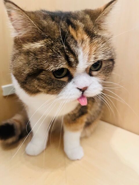 奇跡の1枚&#129763;わら