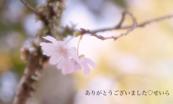 Kさまへ^_^お礼日記