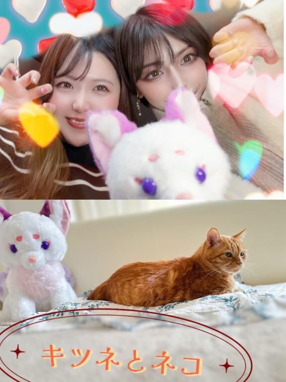 ネコ好きだけれどキツネを愛でる&#9825;