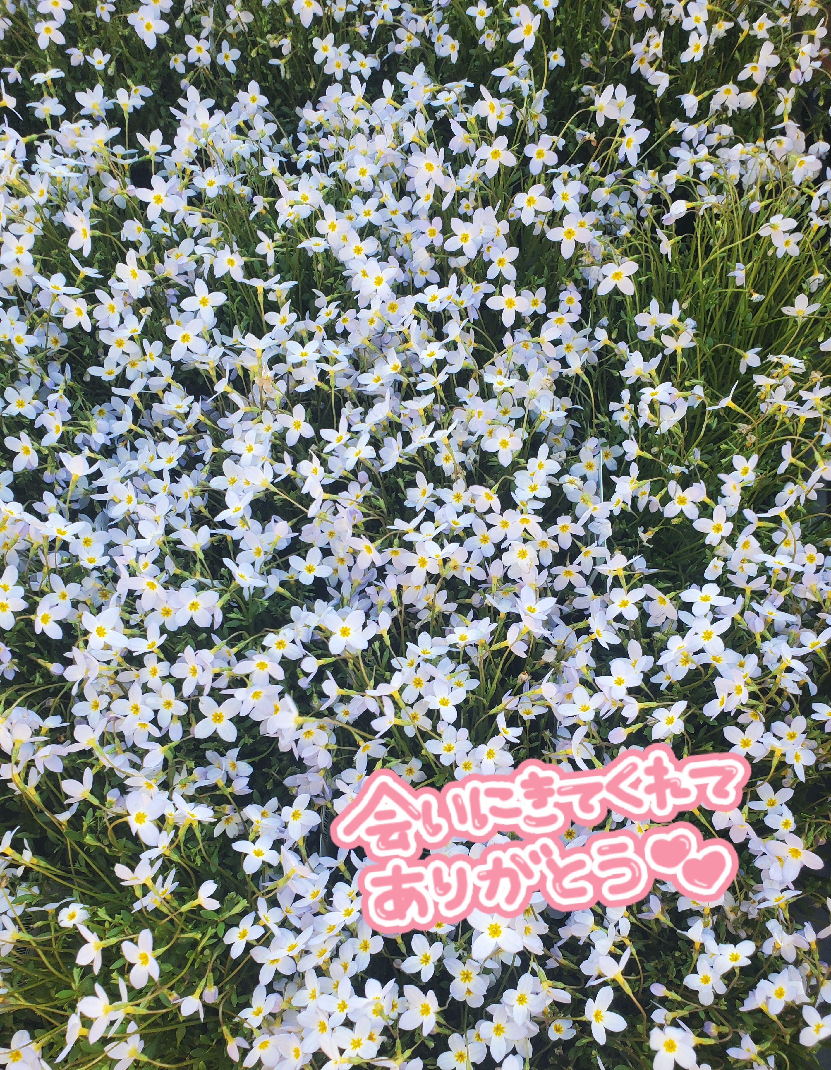 今日もありがとう&#9825;
