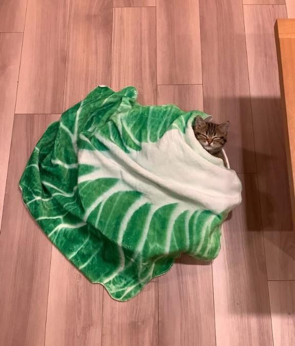 ありがとうございました(*&#728;&#65078;&#728;*).｡.:*&#9825;