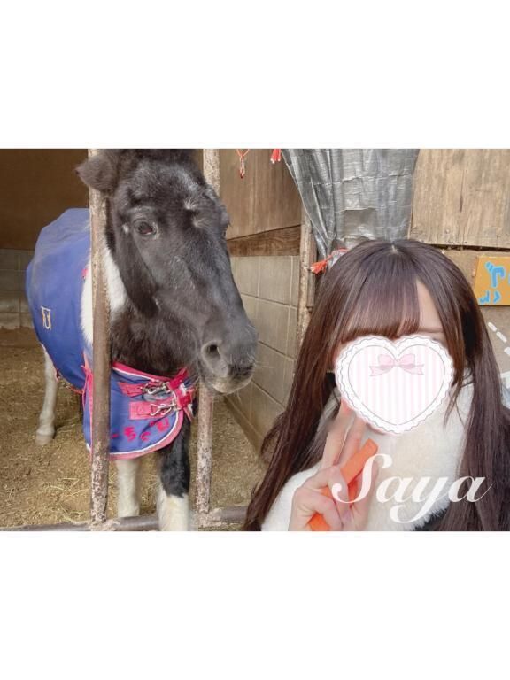 そういえば&#128014;