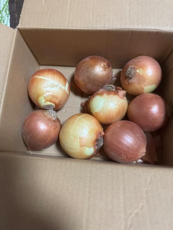 届いた