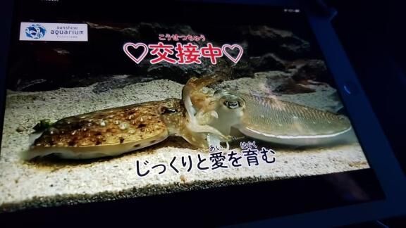 今から