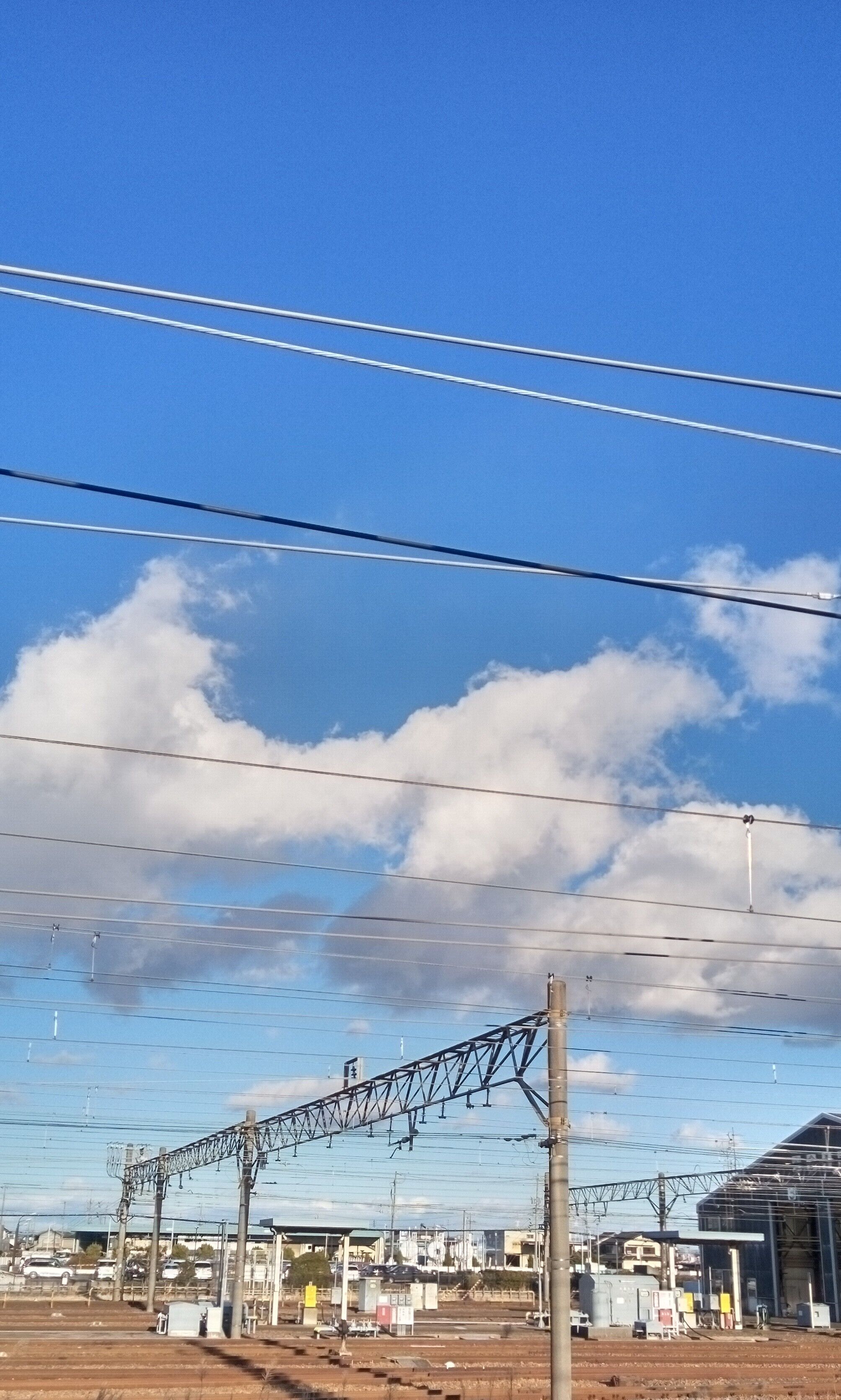 風冷た