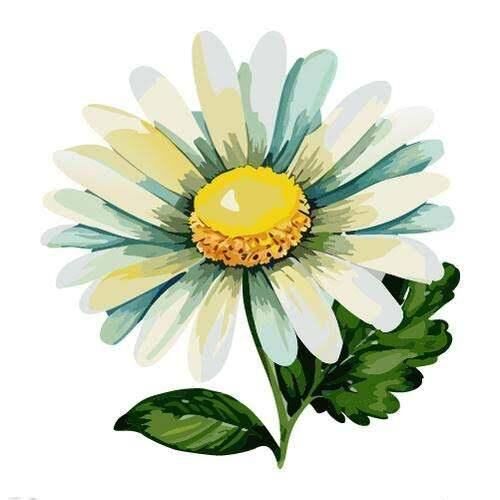 2月20日(木) 19時半&#x301C;　殿方様&#9825;