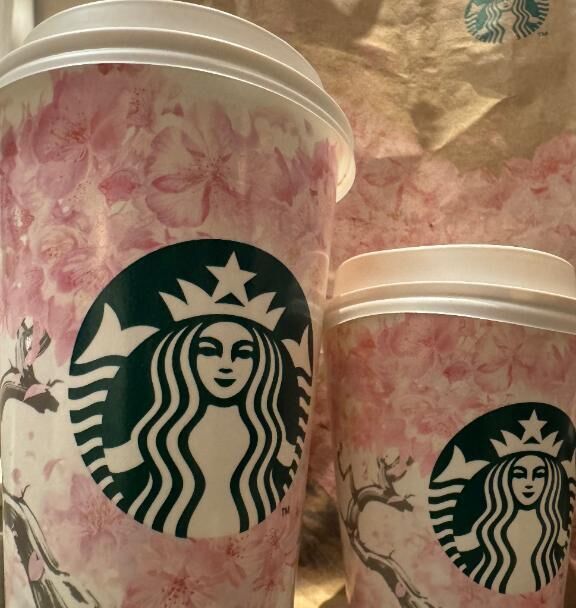 &#127800;&#127800;&#127800;&#9749;&#65039;