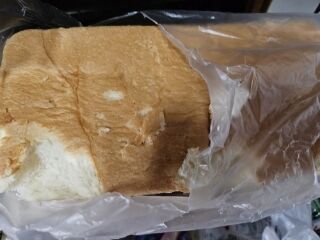ドキドキでドナドナ気分