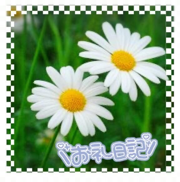 &#x301C;感謝・Ｙ様&#x301C;　2\,20