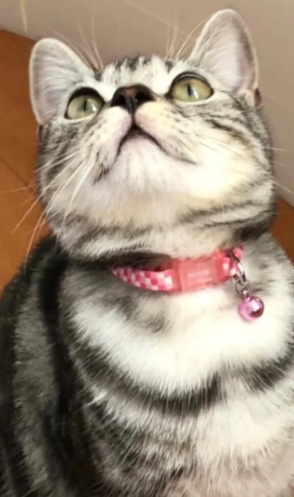 今日も今日とて…