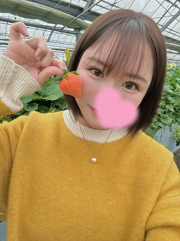 ３日坊主ですらないねんまつねんしと