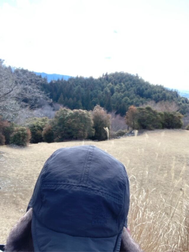 風が冷たい休みday