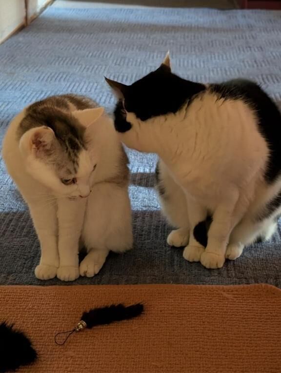 よくあるプレイなのか♡