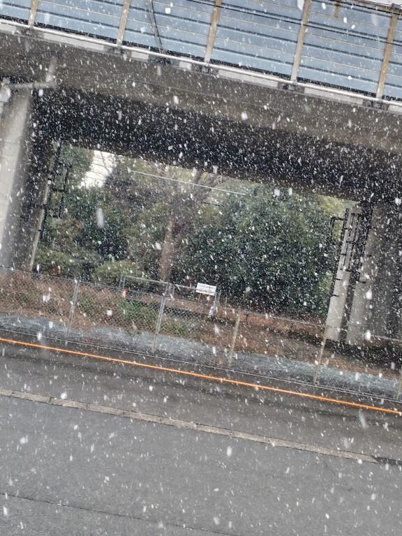 雪だぁ！！