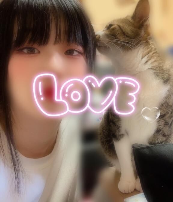 ねこのひ。