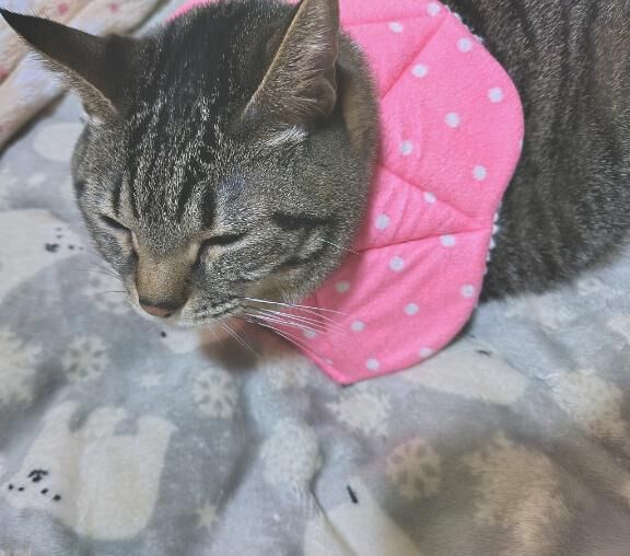&#9825;&#9825;&#9825;&#9825;&#9825;&#9825;&#9825;&#9825;&#9825;&#9825;