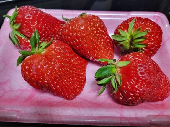 &#127804;イチゴ&#127827;&#127804;