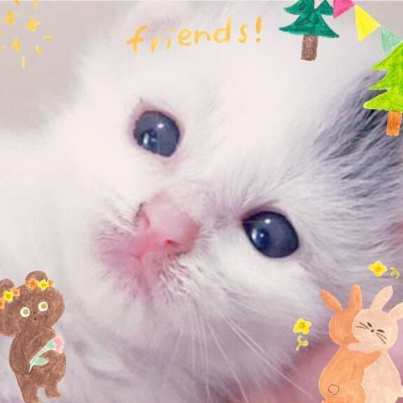 2月22日の＼(^o^)／ありがとう&#x301C;
