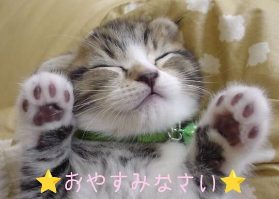 &#11088;&#65039;おやすみなさい&#11088;&#65039;