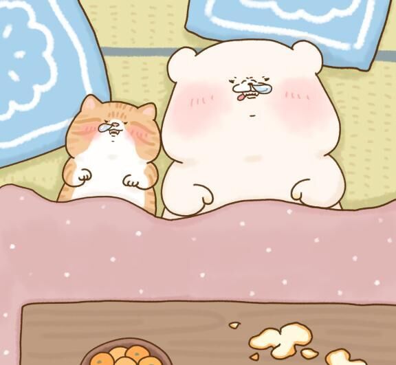 おはようございます！＼(^o^)／