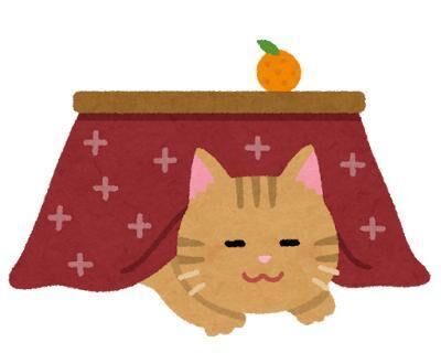 今日と明日！