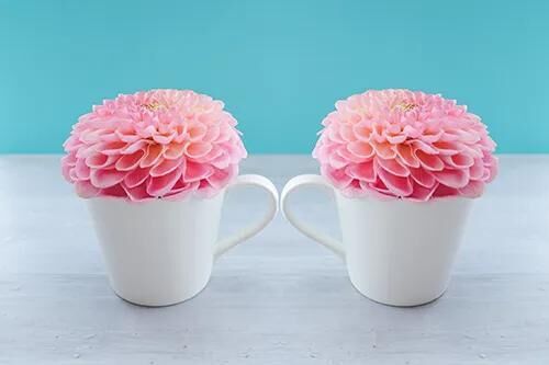出勤しました&#9825;&#9825;&#9825;