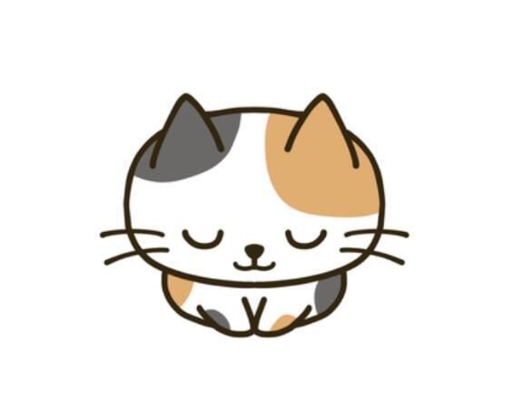 お休みです！！