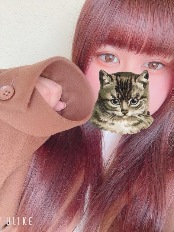 わくわく