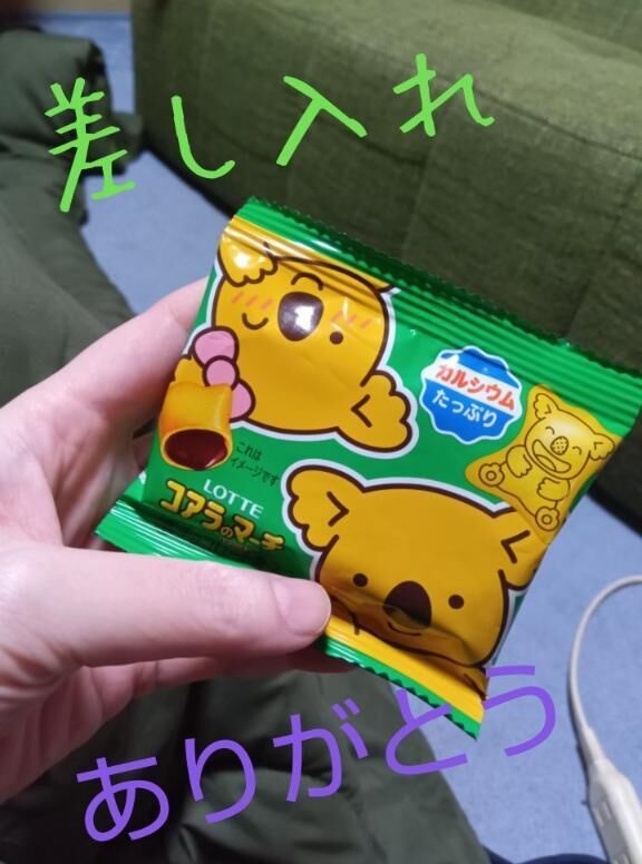 202の殿方様